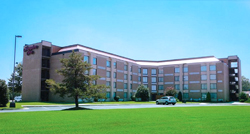 HAMPTON INN